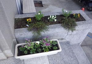 花・花壇(ブログ用).jpg